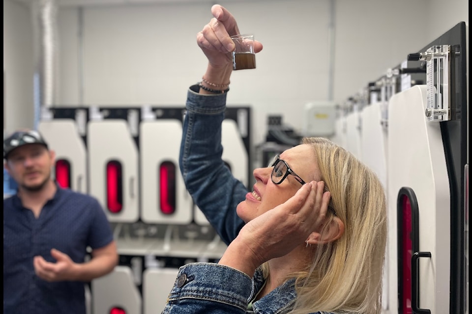 Campbell River artist Dawn Dudek takes a close look at a beaker of baby seaweed at the Seaweed Innovation Hub open house during Ocean Week Campbell River on June 4. 