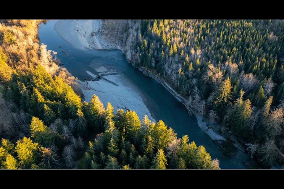 The trees in this forest area are up to 120 years old and five Pacific salmon species, steelhead and blue-listed cutthroat throat depend on the Xwésam (Salmon) River, says Nature Trust of British Columbia. 