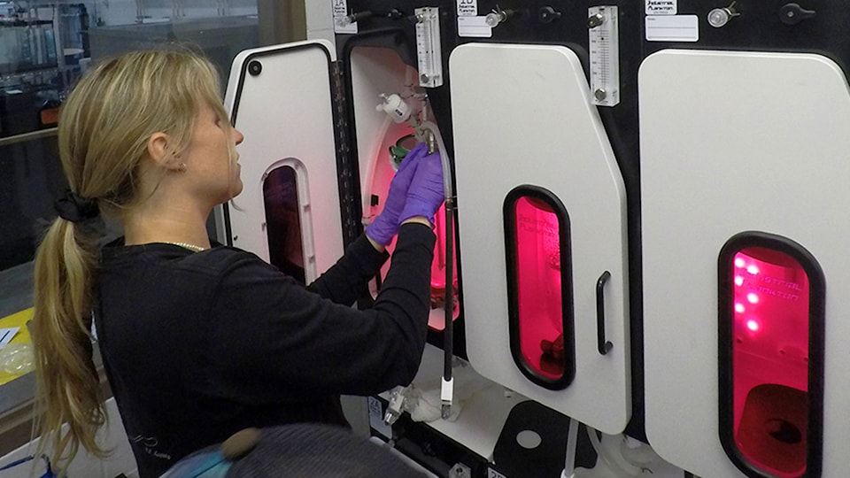 carti-open-house-bioreactor-for-web