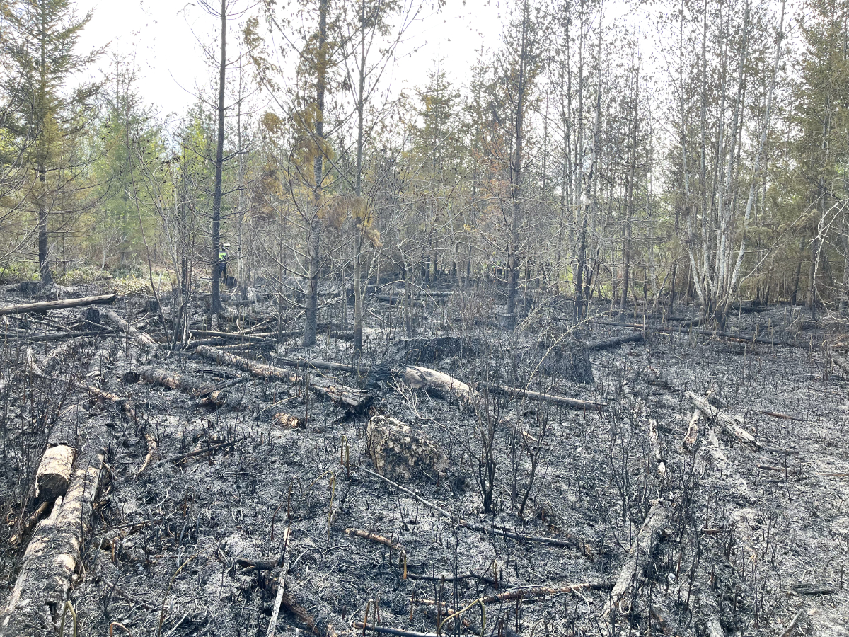 Firefighters wrestle Campbell River's Woods Creek fire to 'under control' status