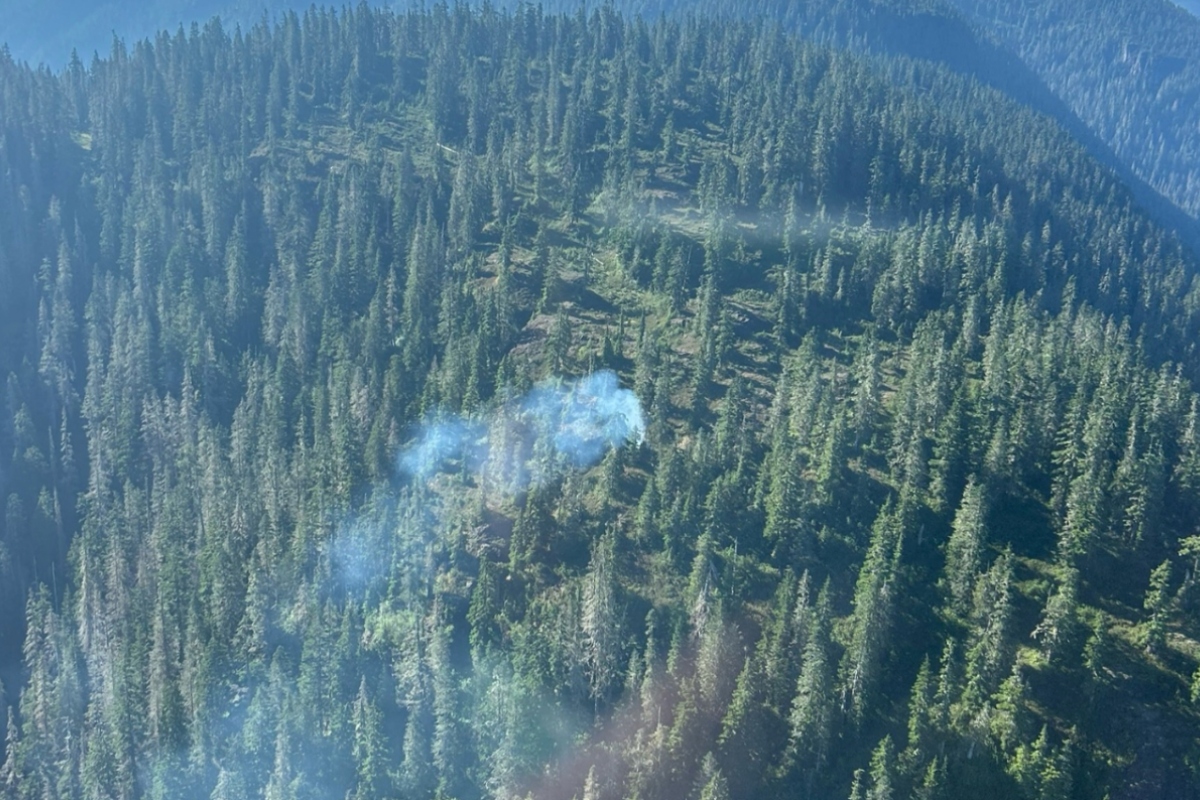 4 small wildfires either 'under control' or 'being held' west of Campbell River