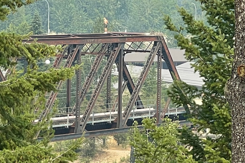 bridge-jump-web