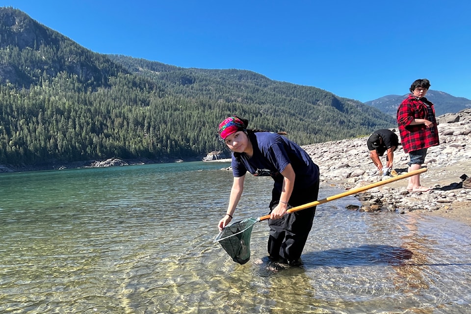 41 adult sockeye salmon were released into Lower Arrow Lake on Aug. 30 by the Columbia River Salmon Reintroduction Initiative.