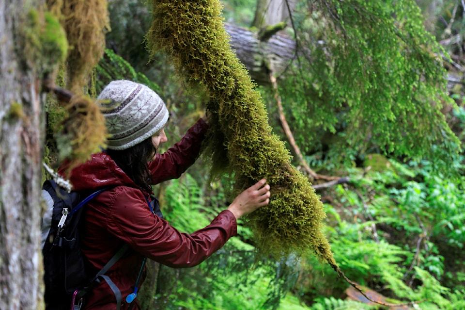 amber-peters-observes-thick-moss-in-the-old-growth-forest-credit-douglas-noblet