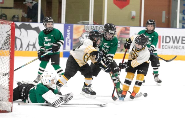 Castlegar Minor Hockey held a U7/U9 tournament Jan. 18-19.