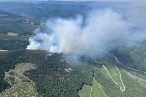 Wildfire near Castlegar grows to 153 hectares