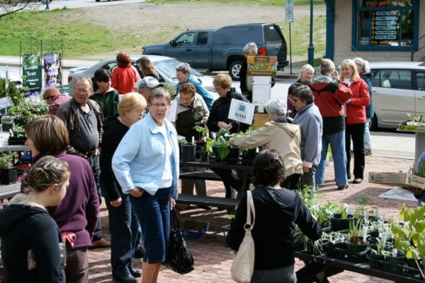 62424castlegarMuseum-plant-sale