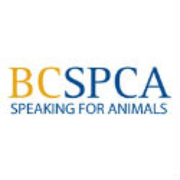 93491castlegargeneric-news-bc-spca-logo