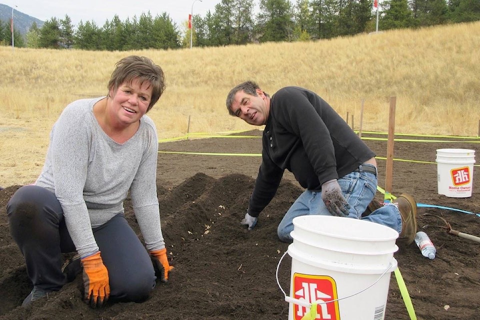 Volunteers from children to seniors planted 5,000 daffodil bulbs at the Highway 3 West interchange this weekend. The bulbs are in addition to the 5,000 planted last year at the same location. The bulbs are in support of breast cancer awareness. The event was organized by Castlegar Communities in Bloom. (Submitted photos)