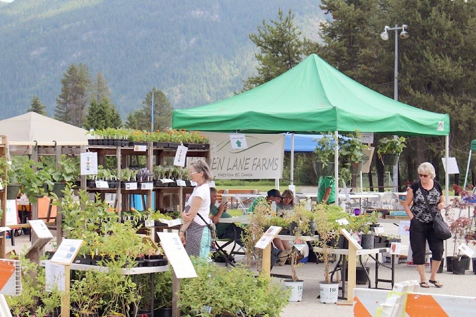 The Castlegar Garden and Nature Fest drew a healthy crowd on Saturday.