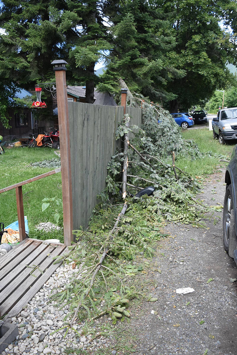 12562023_web1_180705-NAL-tree-dietermans-fence