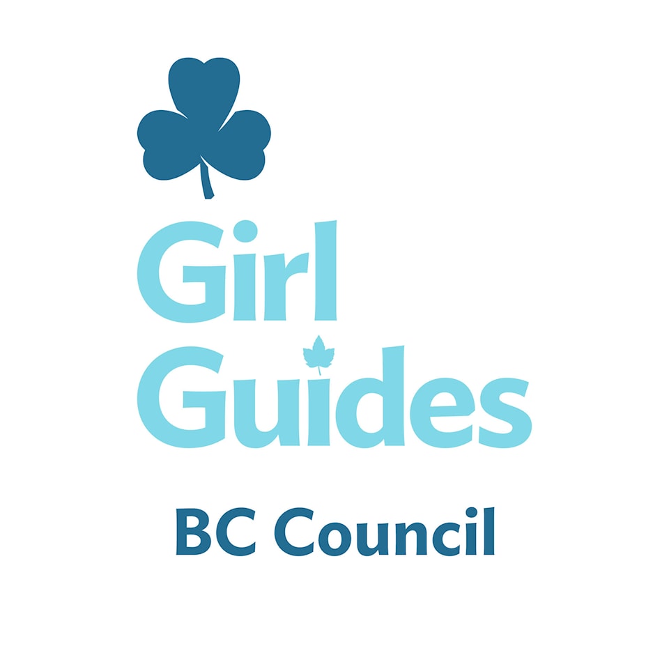 28181592_web1_220222-TDT-Girl-guides-Logos_2