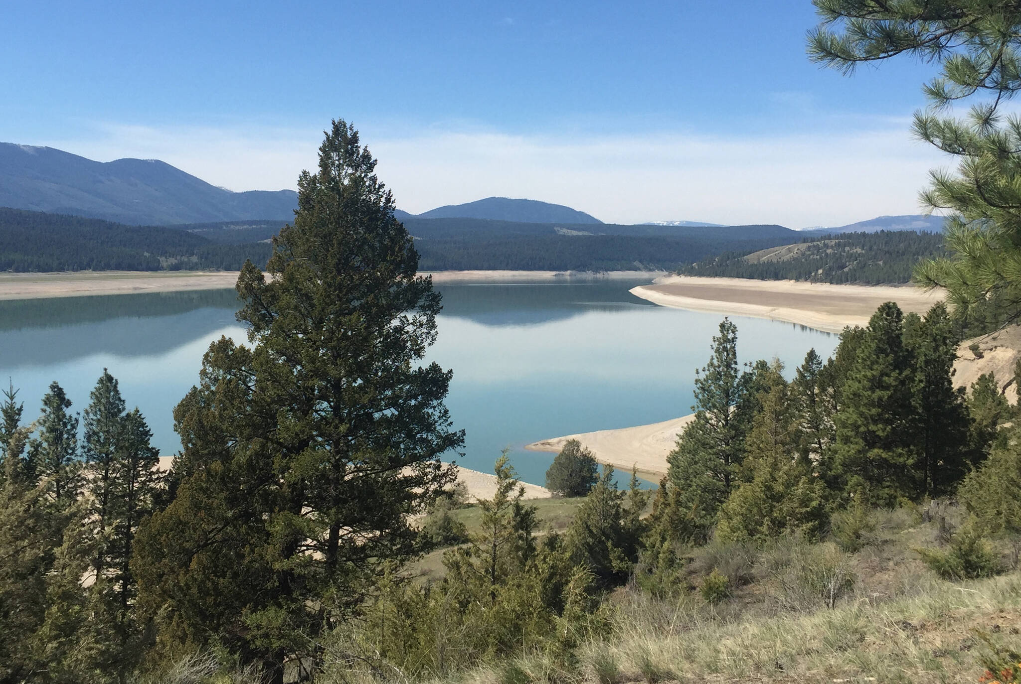 Kootenay watershed pollution investigation seeking data