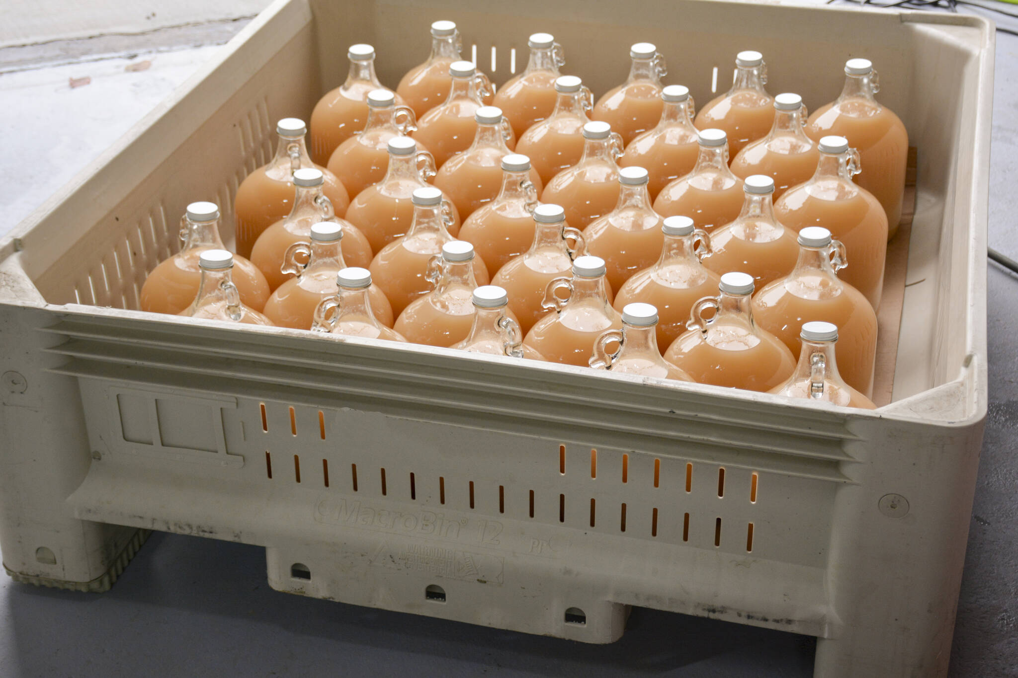 Apple juice produced by Just A Mere Farms at the Kootenay Farms Food Hub & Innovation Centre. (Photo by Kelsey Yates)