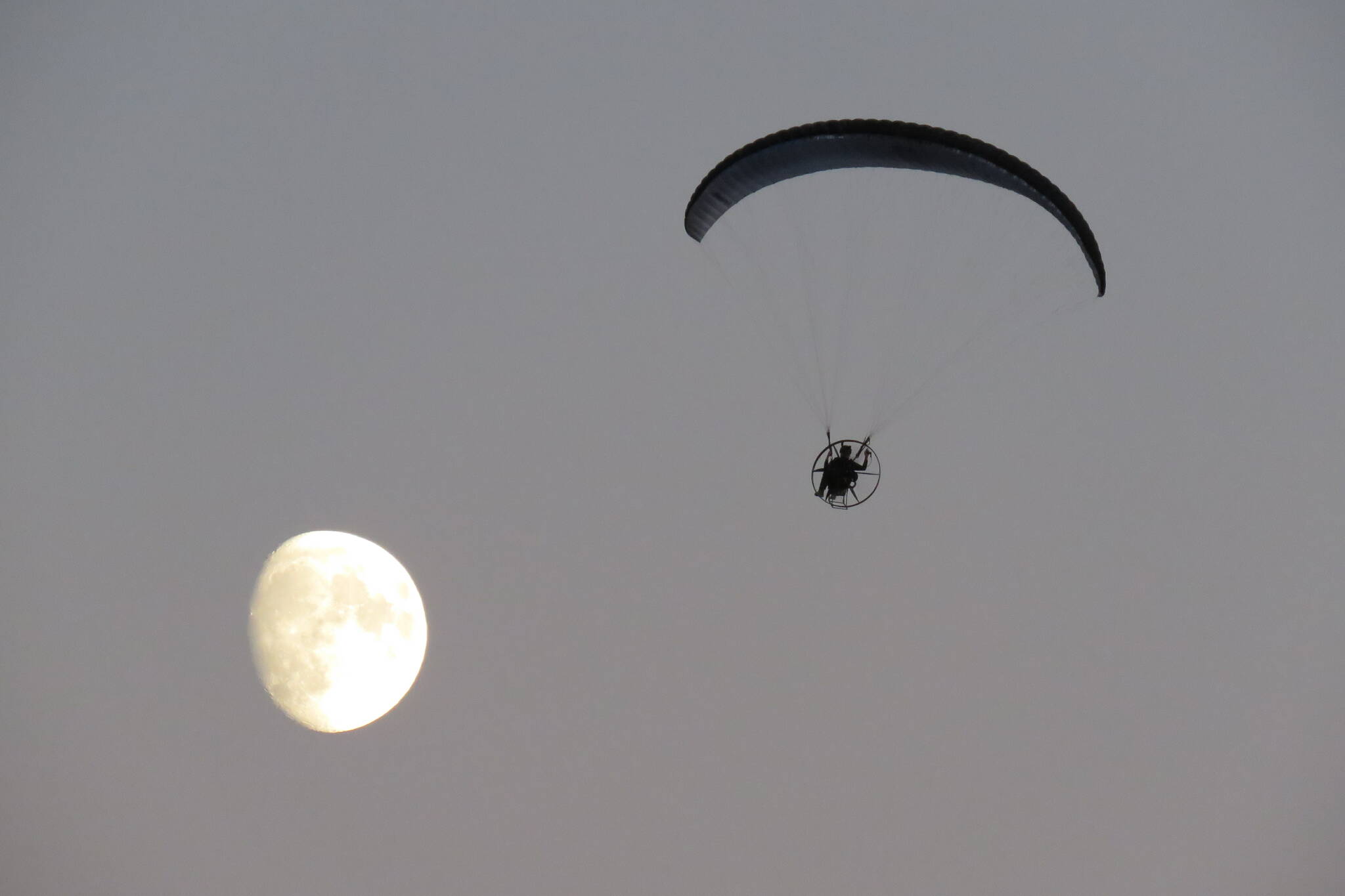 A glider sails over North Cowichan on the evening of Aug. 8, with the moon as a dramatic backdrop in the crystal clear skies. (Cheryl Trudell photo/Citizen)