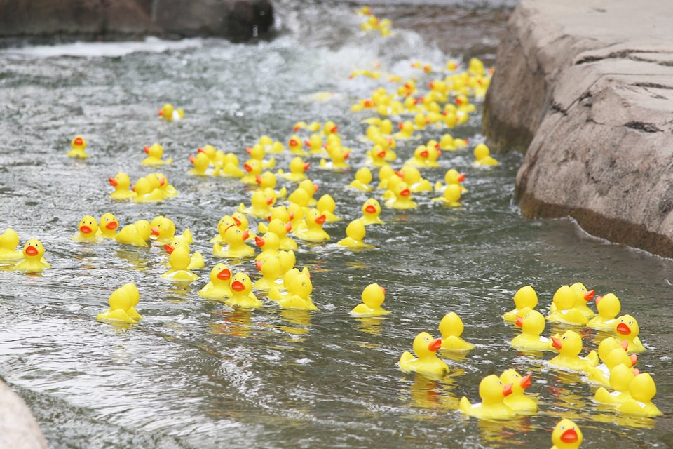 33867603_web1_230904-RDA-duck-race2
