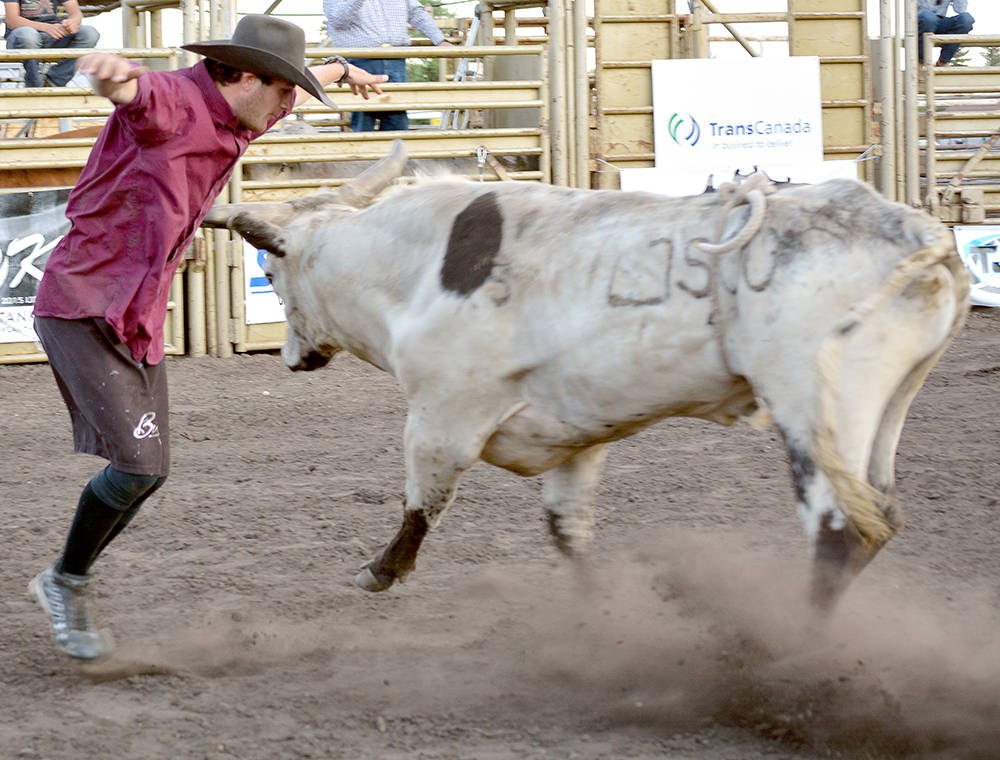 12239801_web1_lj-Bull-fighting-3244-WEB