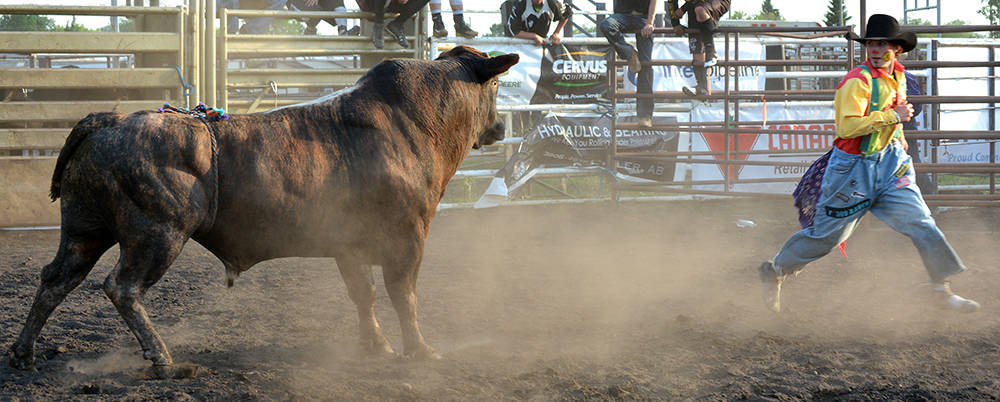 12239801_web1_lj-Bull-fighting-3567-WEB