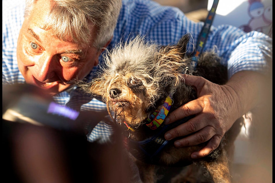 PHOTOS Scamp the Tramp wins World s Ugliest Dog Contest Castor