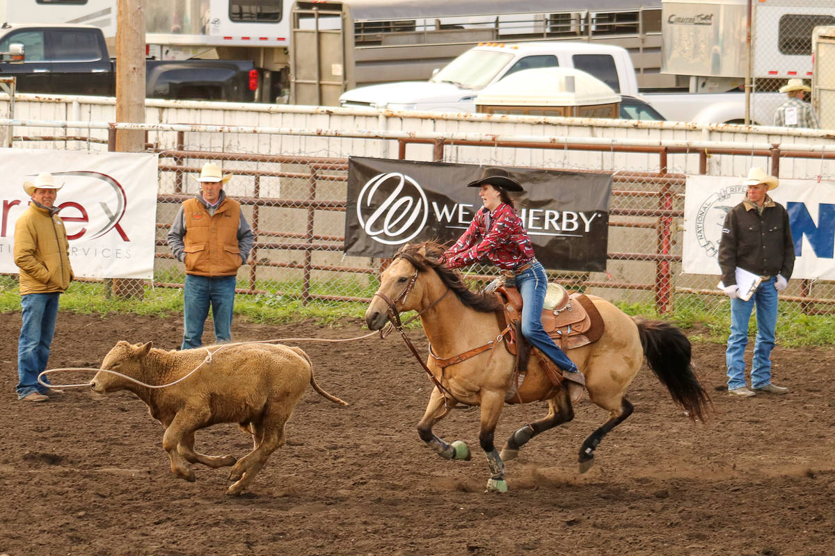 22561281_web1_200903-STI-StettlerRodeoPhotos-rodeo_11