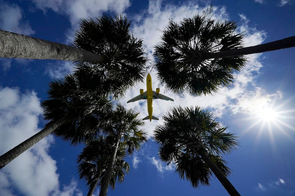 29092518_web1_220511-CPW-passenger-lands-plane-palm_1