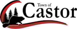 34548858_web1_230420-STI-Bus-Dir-Castor-Mayor_2