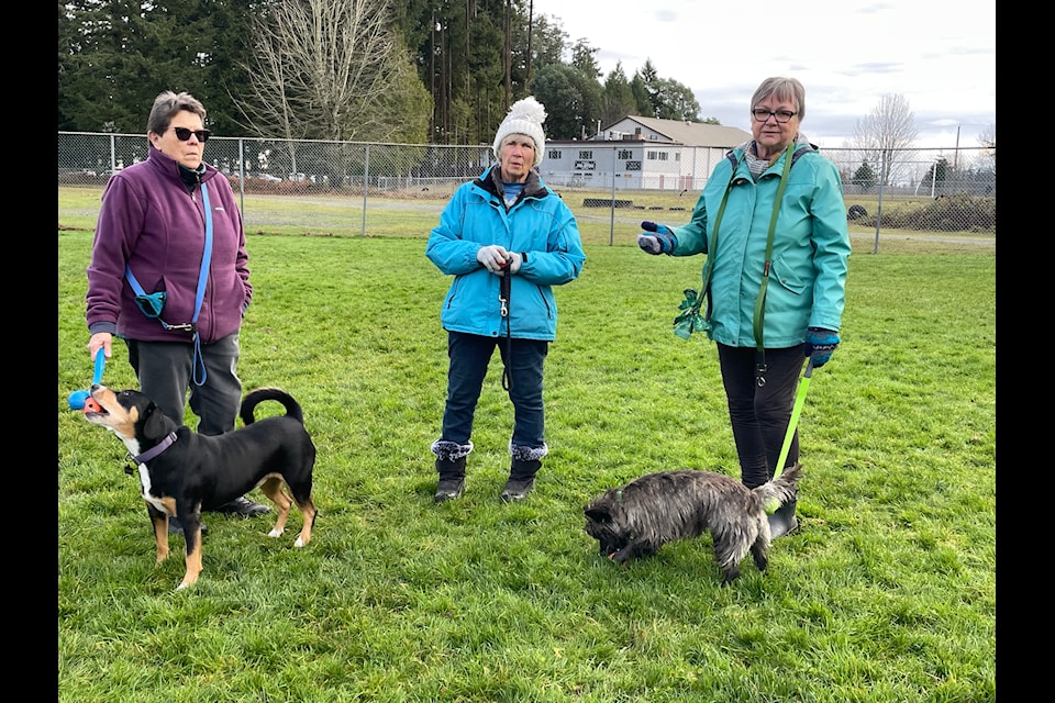 Michele Yeoman, Jeanette and Pamela Cade have been using Field 3 at the Chemainus Ballpark for at least 13 years and say they are part of a vital community.