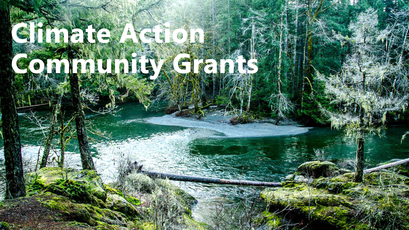 North Cowichan climate action grants offer project funding