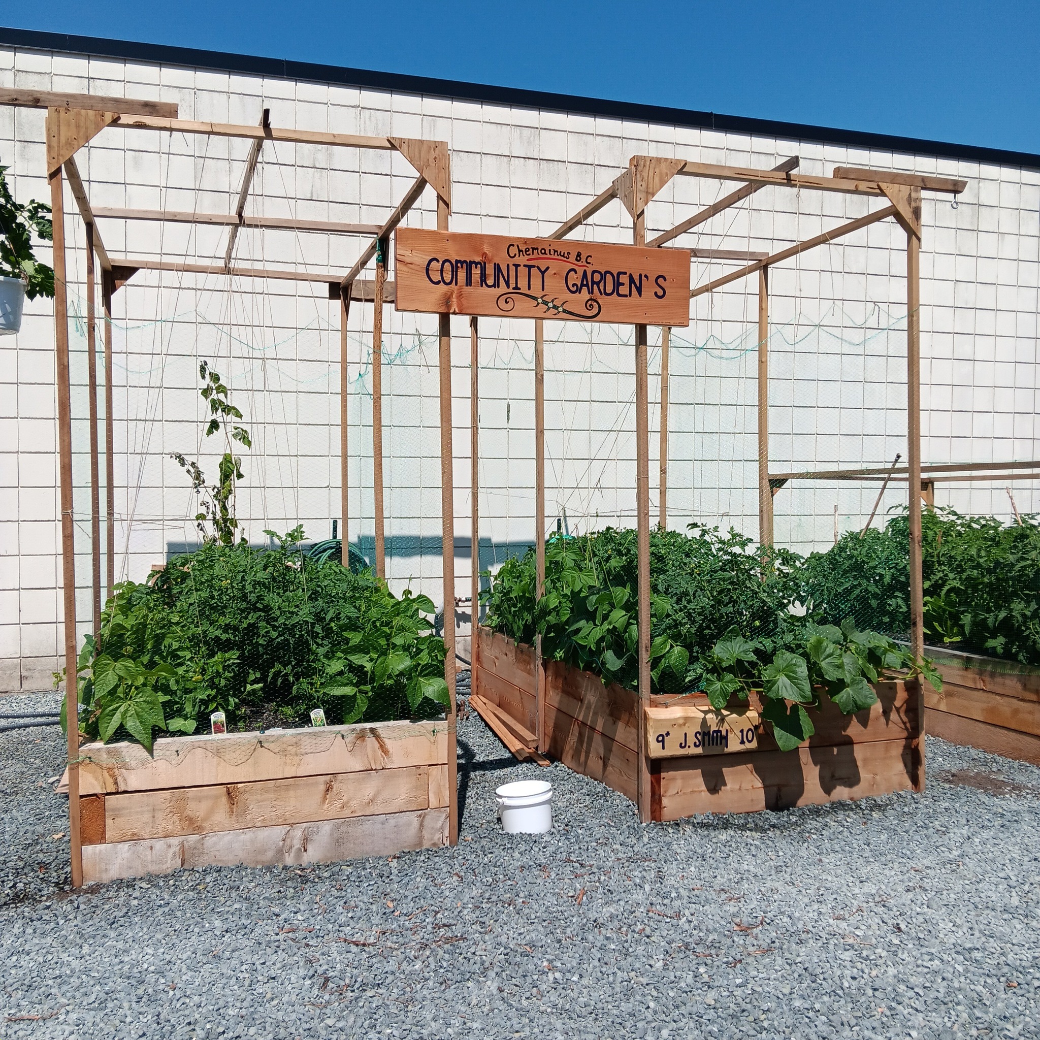 Community garden officially opening Aug. 20 in Chemainus