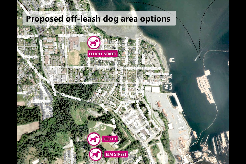 North Cowichan is considering three options for an off-leash dog area to better meet the needs of both dog guardians and sports field users.