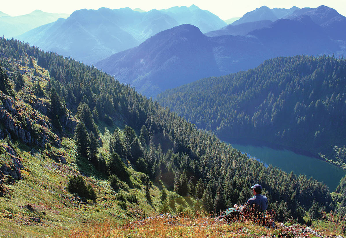 Economic summit says Vancouver Island economy remains rosy