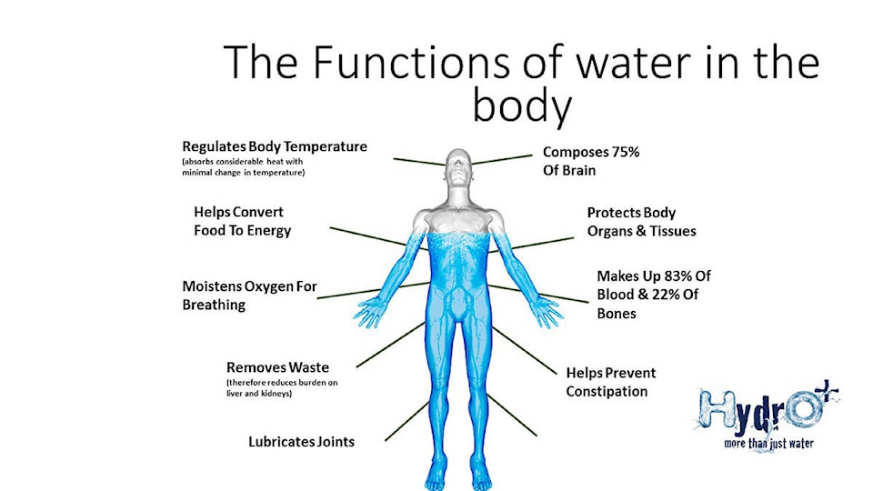 11955257_web1_Functions-of-Water-in-the-body1