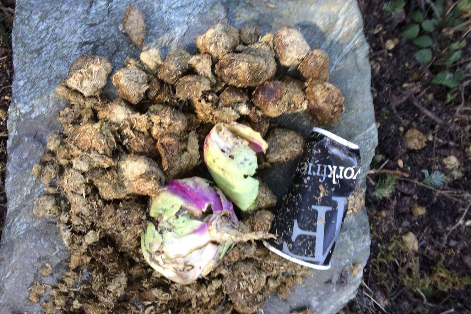 Anti-smoking protest giving woman the creeps
