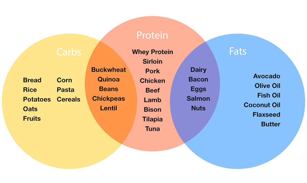 Understanding Macronutrients: Protein, Carbs, And Fats