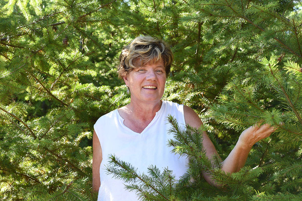 Tasty Treats From Trees With Fir Infused Food