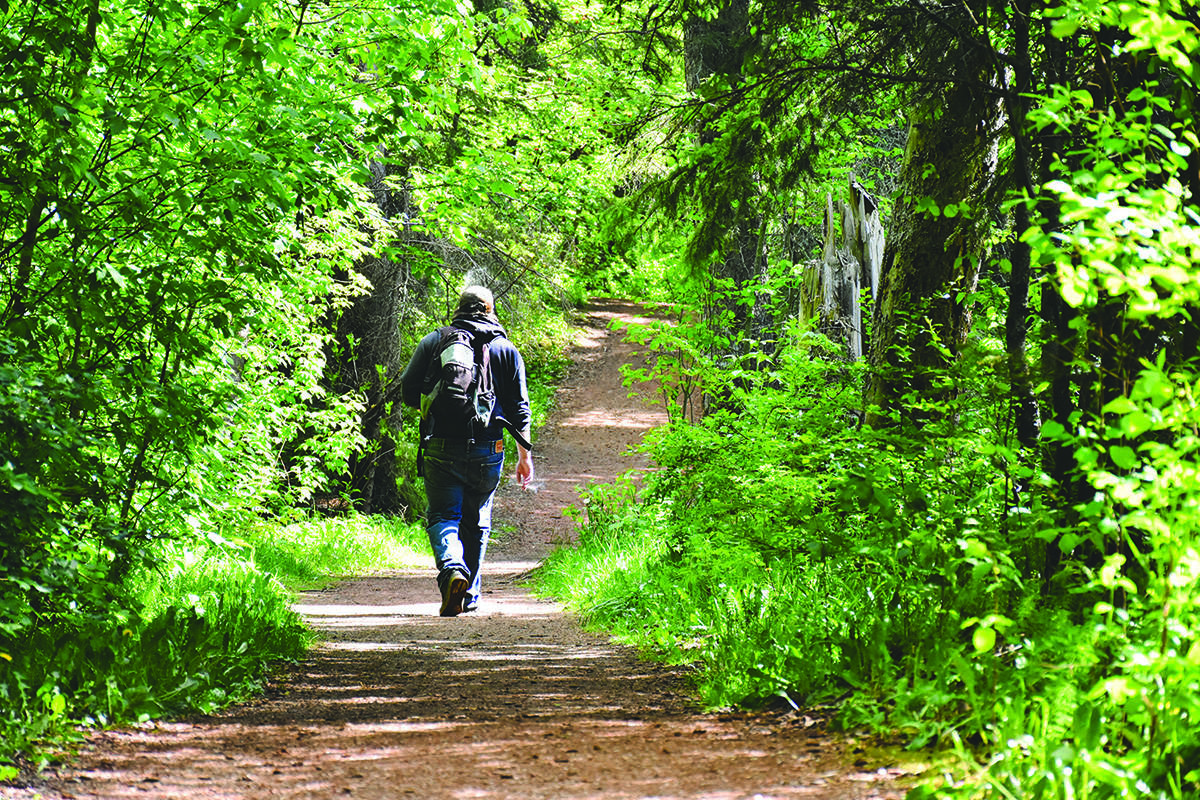 Many B.C. parks to re-open, but visitors must adhere to the ‘golden rules’