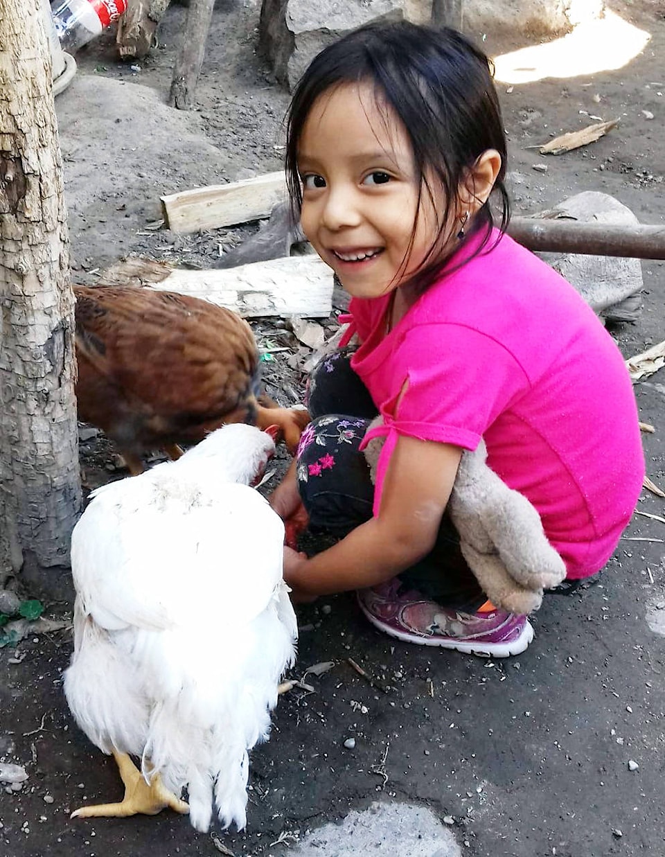 23893149_web1_210114-CHC-Guatemala-Rotary-chickens_2