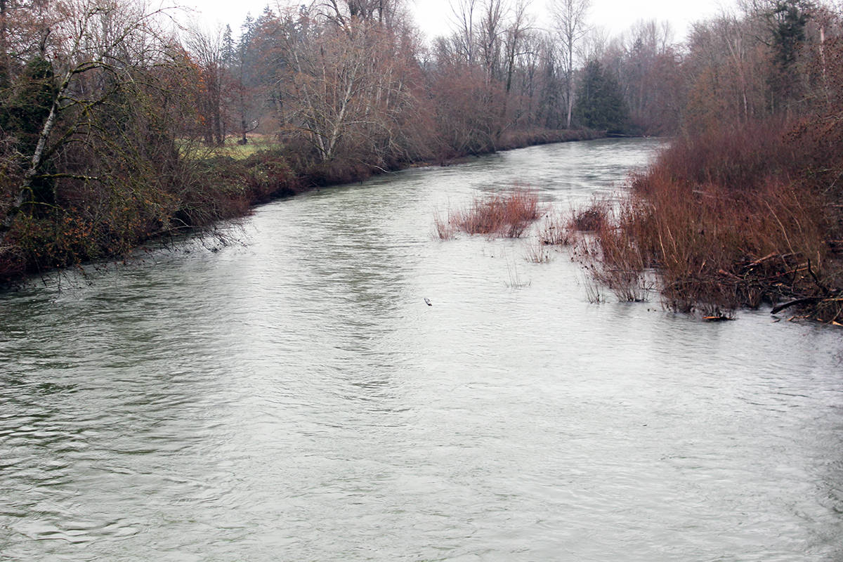 24078739_web1_210204-CHC-Chemainus-River-flood-mapping-happens_2