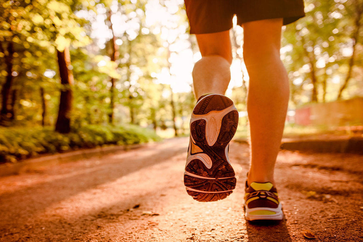 Cowichan Lake Trail Blazers and Mosaic partner to build new trails