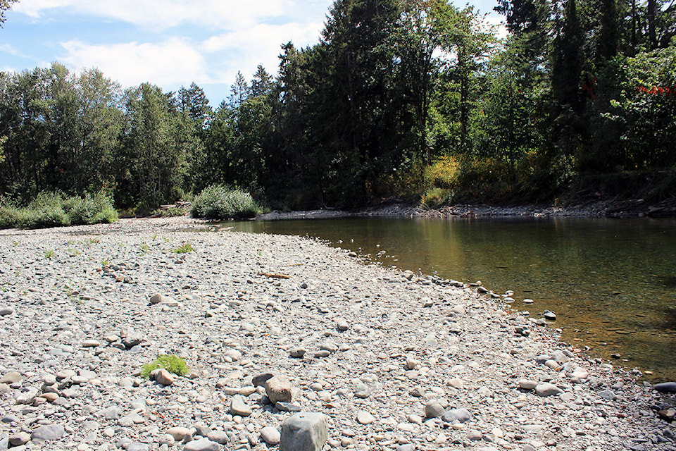 26274328_web1_210826-CHC-Chemainus-River-water-scarcity-happens_6