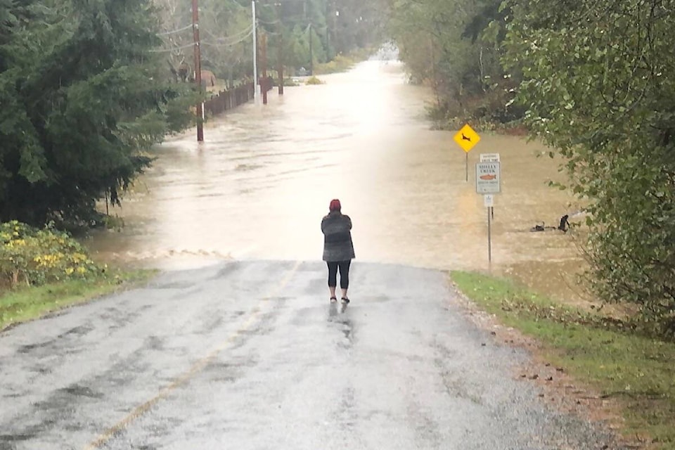 Martindale Road in Parksville was flooded on Monday, Nov. 15, 2021. (Michael Briones photo)