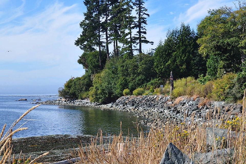 29291552_web1_220530-WCT-SouthIslandSpiritLoop-New_1