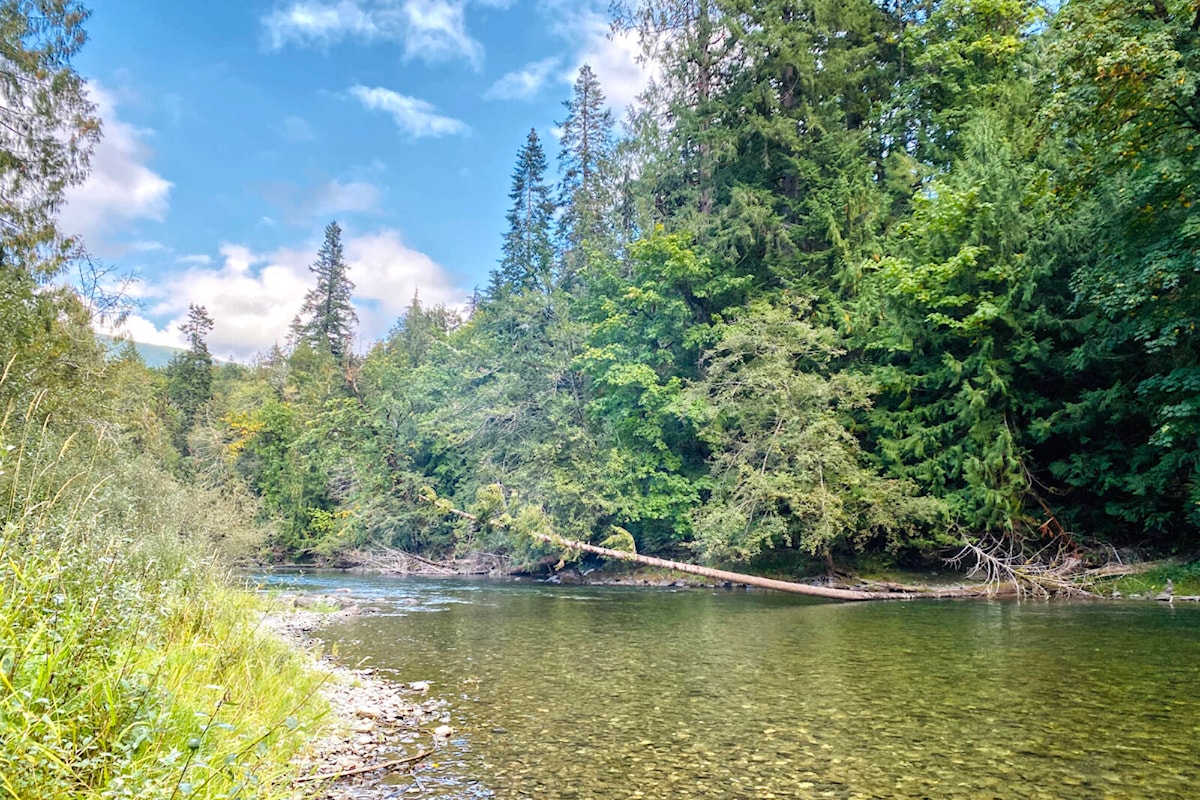Victoria fly fishing club marks 45 years with new Cowichan River angling  map - Chemainus Valley Courier