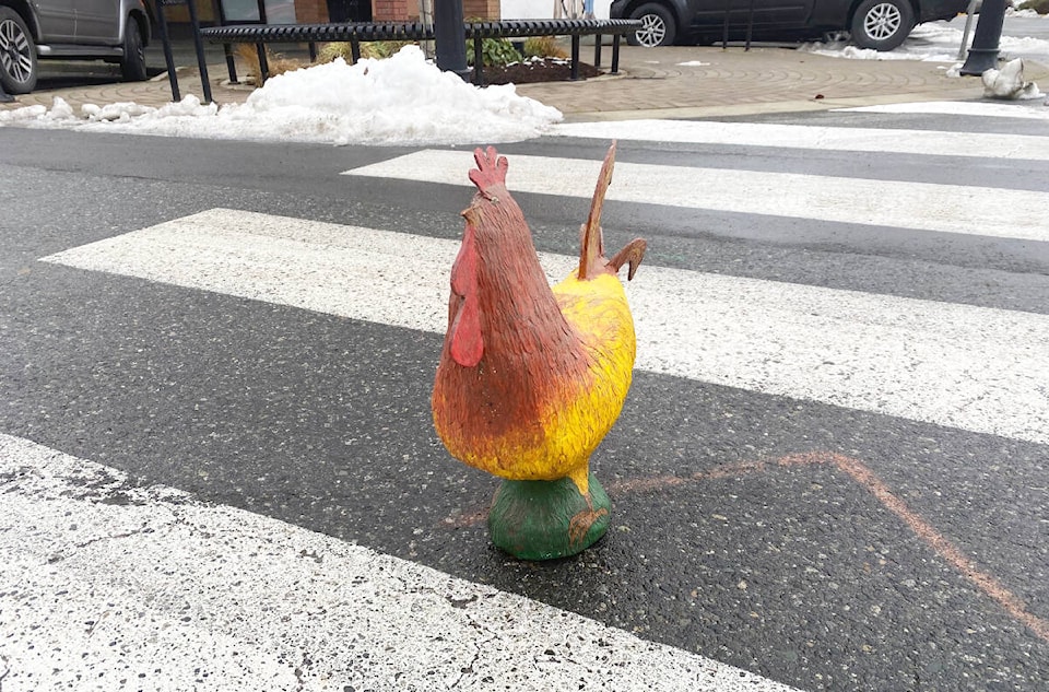 31297451_web1_221215-CHC-Rooster-loose-road_2