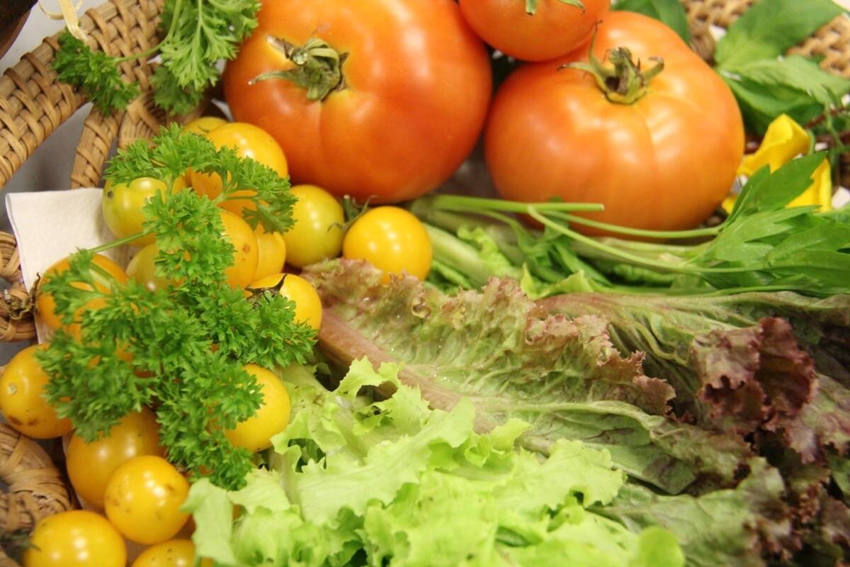 Gen Z in Canada spends the most on food – and wastes the most – says survey