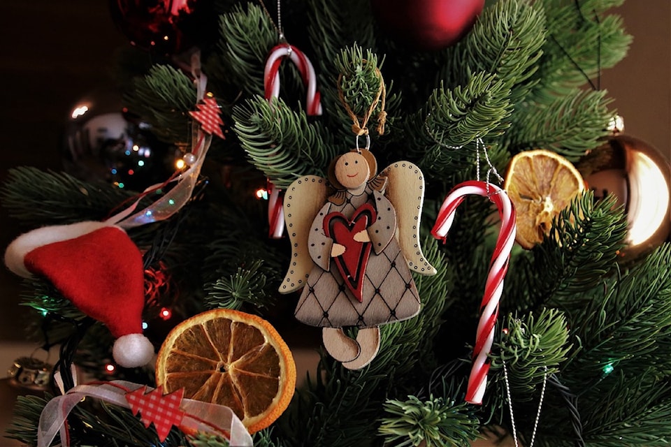 christmas-tree-6883263_1280