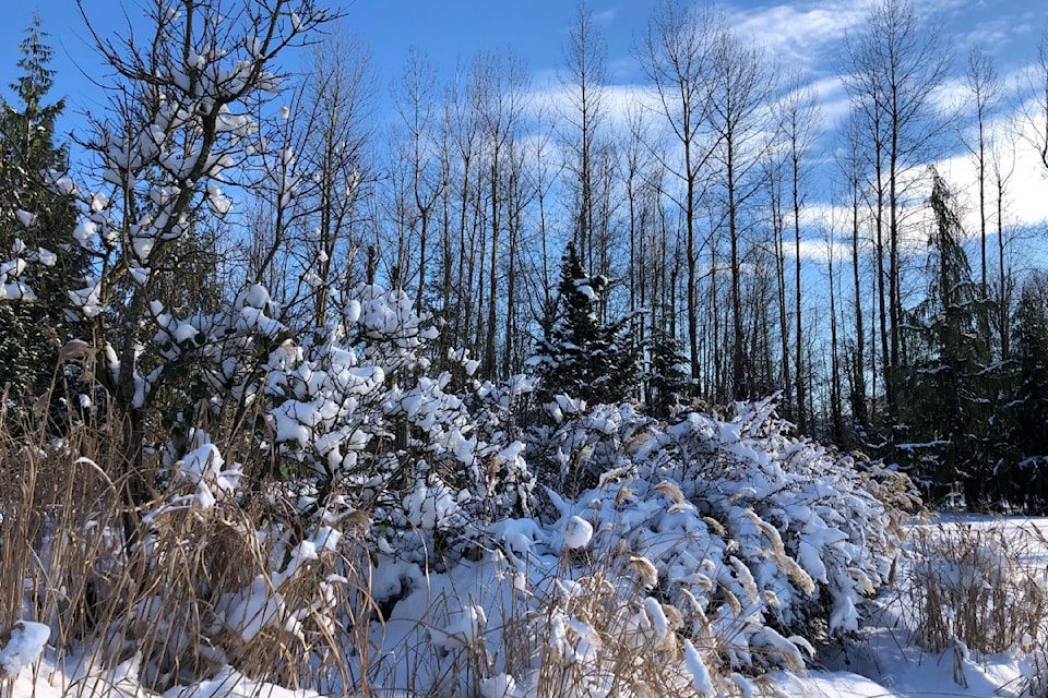 cold