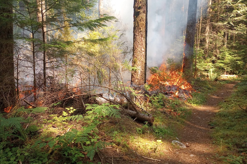 chilliwack-lake-road-fire-yochim