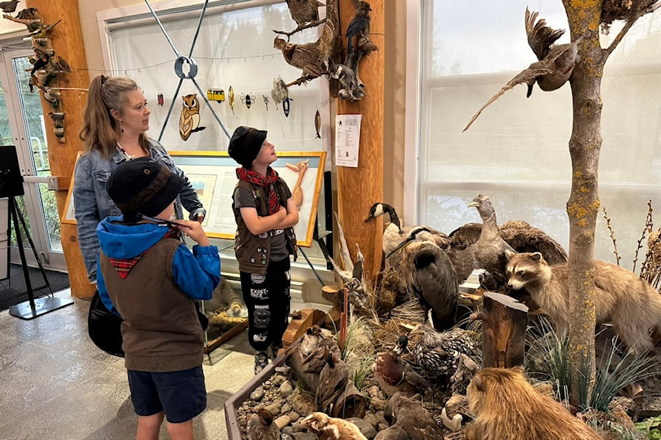 Camille Coray, executive director of the Great Blue Heron Nature Reserve, shows Beaver Scouts Zachary Solomon (left) and Garret Goddard some of the animals on display inside the interpretive centre at the reserve on Wednesday, Sept. 25, 2024.
