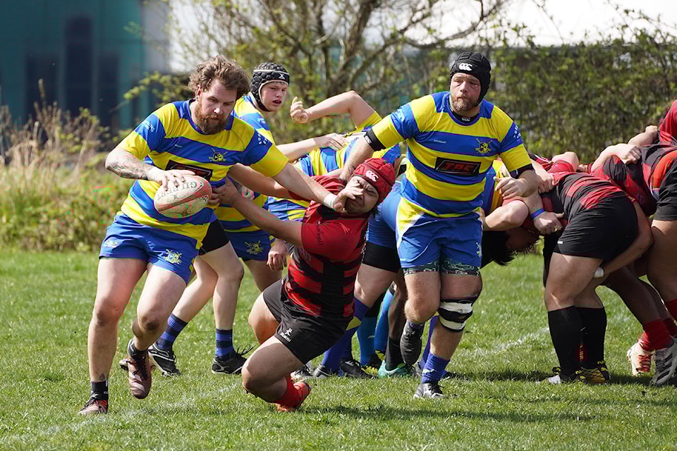 The Chilliwack Crusaders (yellow and blue jerseys) beat the Richmond Rugby Football Club 69-5 in the home team's final regular season game on Saturday, April 5, 2025 at Yarrow Sportsfield.
